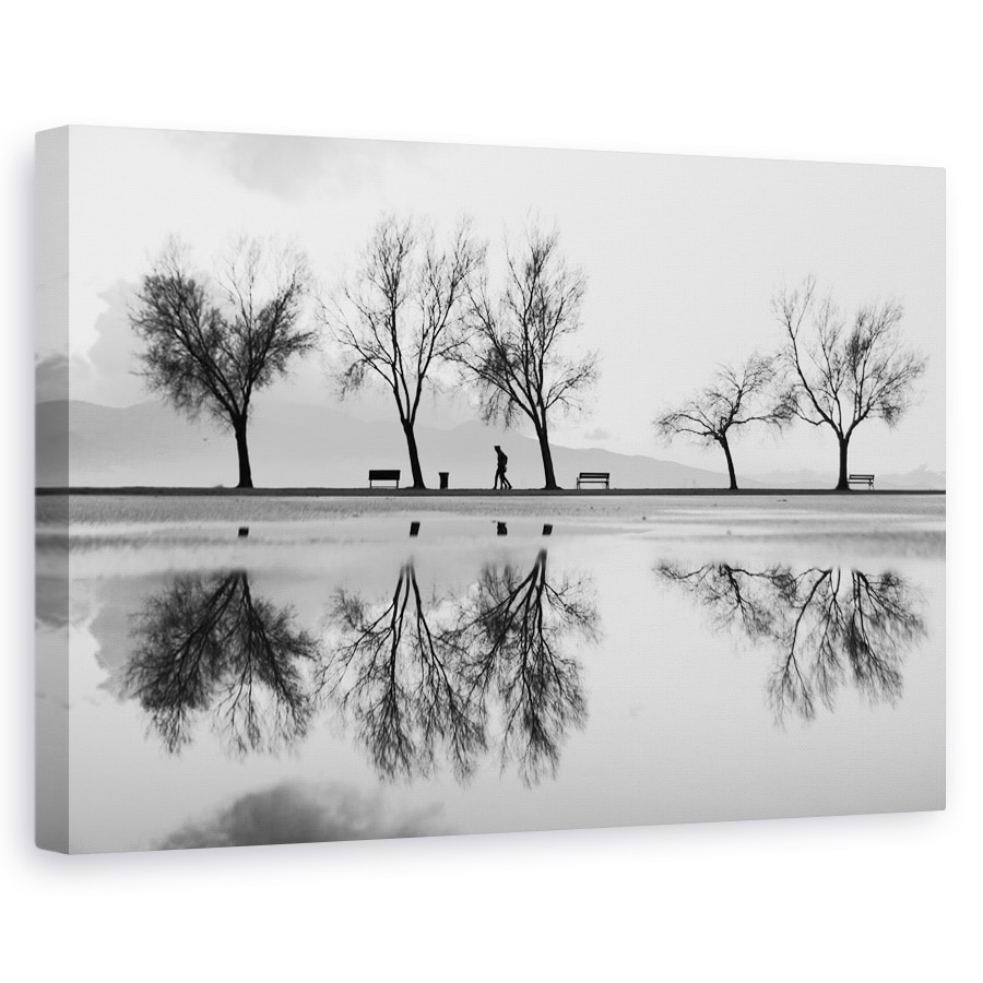 Tablou canvas - Alb-Negru, Parc, Banca, Pomi, Grafic, Silueta, 40 x 60 cm