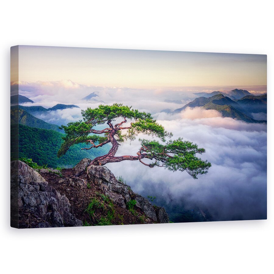 Tablou canvas - Pe Stanca, Stanca, Copac, Nor, Rasarit de Soare, Peisaj, Panorama, 50 x 80 cm