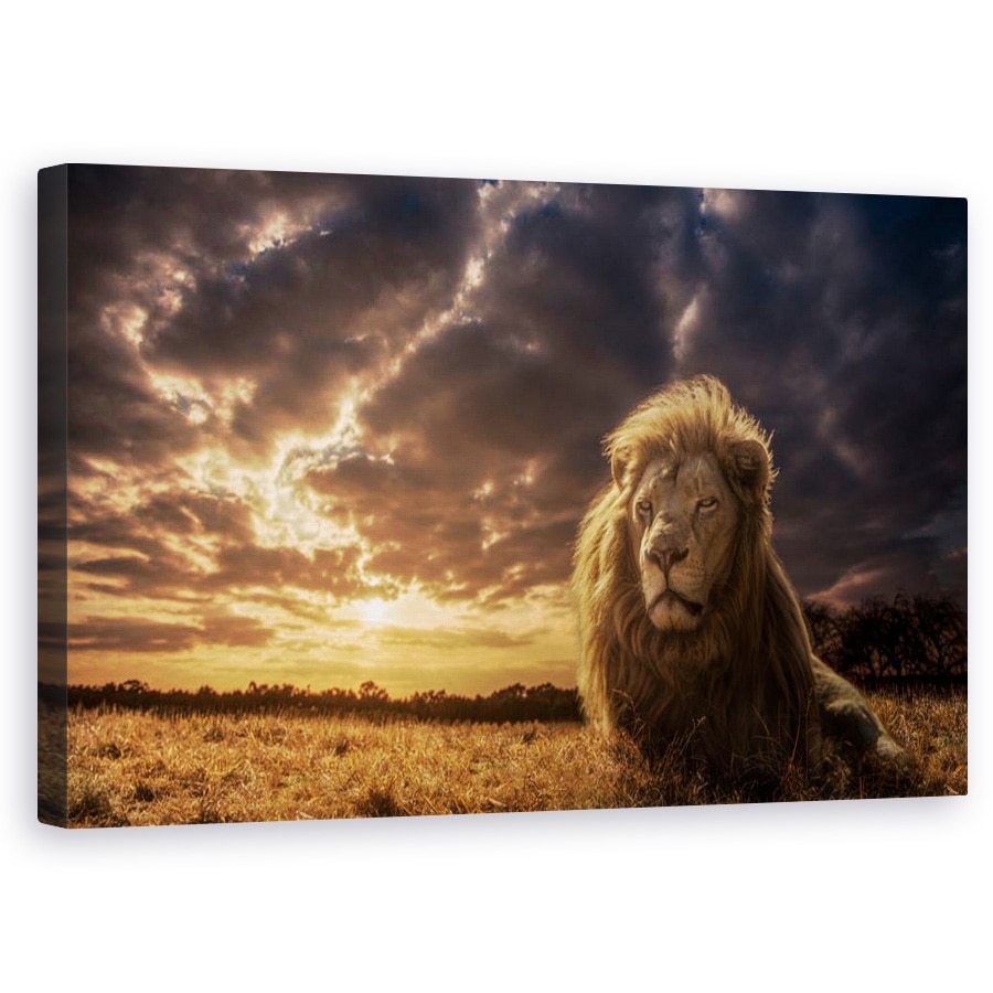 Tablou canvas - Aventuri in Savana, Regele Leu, Animale, Aventura, Africa, Savana, Safari, 60 x 100 cm