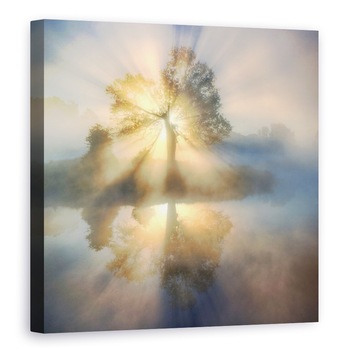 Tablou canvas - Arborele Luminii, Abur, Raze, Lac, Ceata, Usor, Insula, 70 x 70 cm Tablou canvas - Arborele Luminii, Abur, Raze, Lac, Ceata, Usor, Insula, 70 x 70 cm