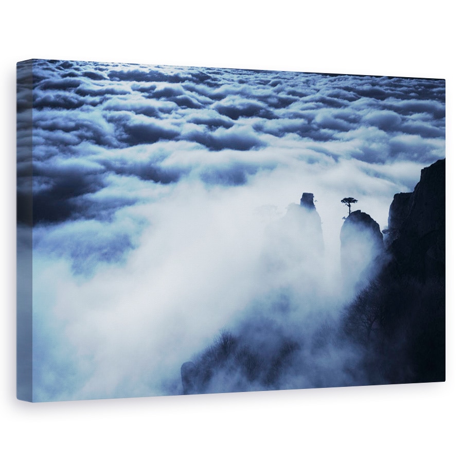 Tablou canvas - Dincolo de Nori, Demerdji, Munte, Pin, Nor, Stanca, Ucraina, 40 x 60 cm