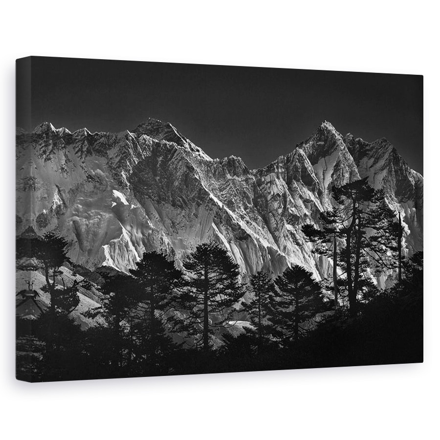 Tablou canvas - Vedere Spre Everest, Peisaj, Munte, Pomi, Padure, Copac, Nepal, 40 x 60 cm