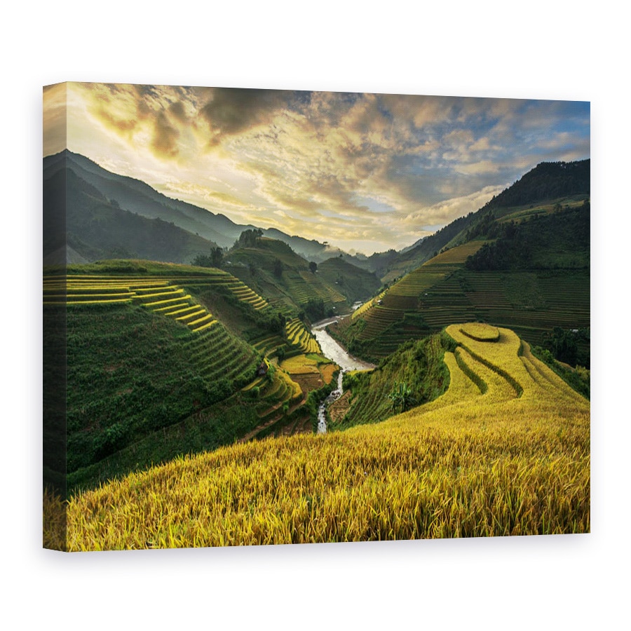 Tablou canvas - Terase de Orez, Terasa, Orez, Campuri de Orez, 90 x 120 cm