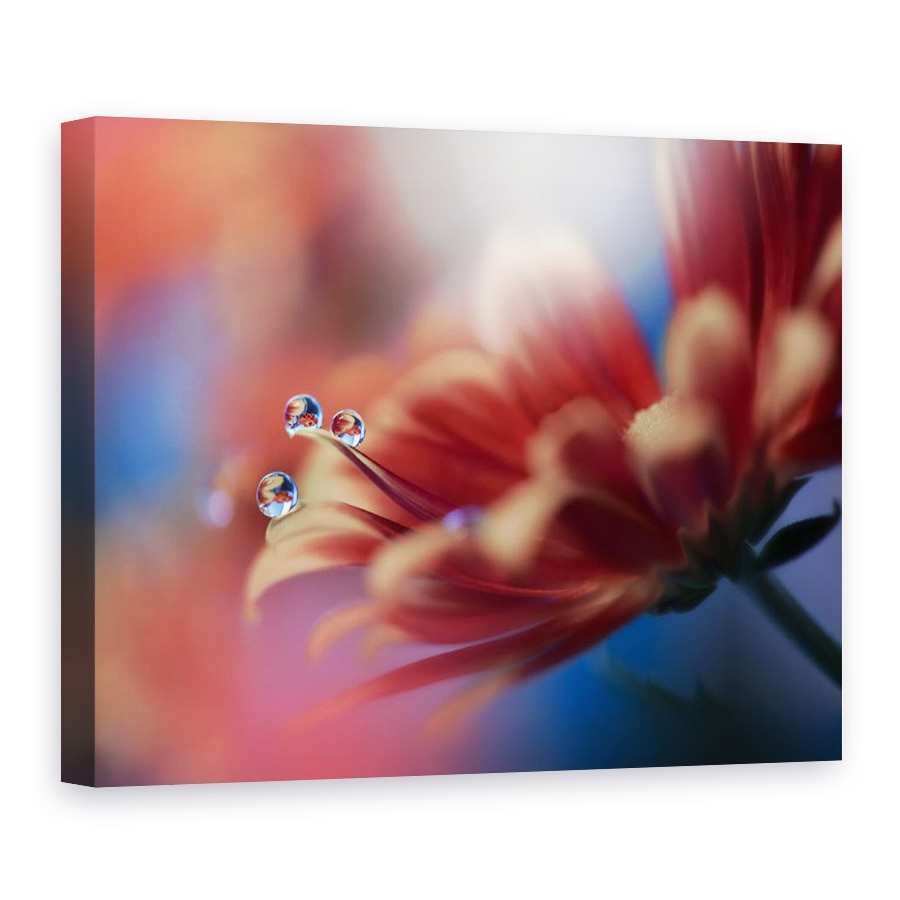 Tablou canvas - In Cel Mai Mare, Macro, Cadere, Apa, Floare, Reflectie, Perla, 90 x 120 cm