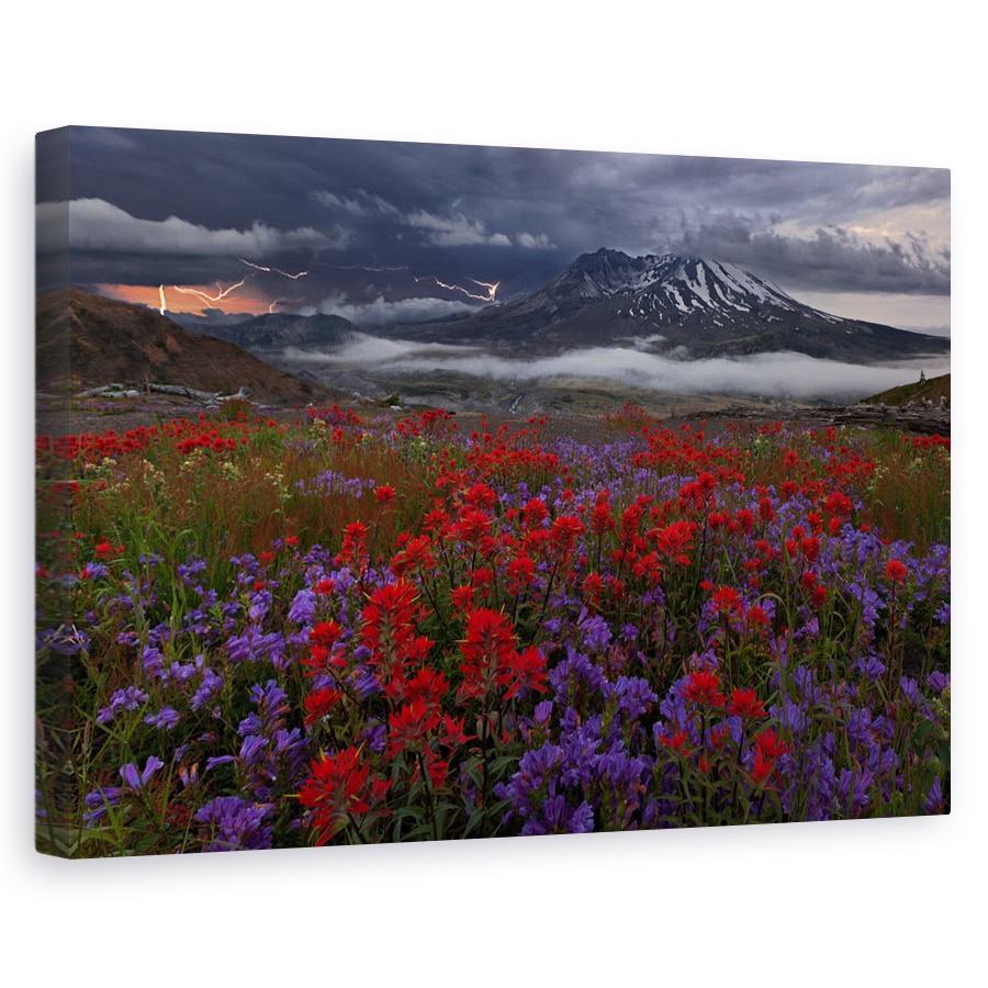 Tablou canvas - Apocalipsa Acum, Peisaj, Fulger, Floare, Furtuna, 40 x 60 cm