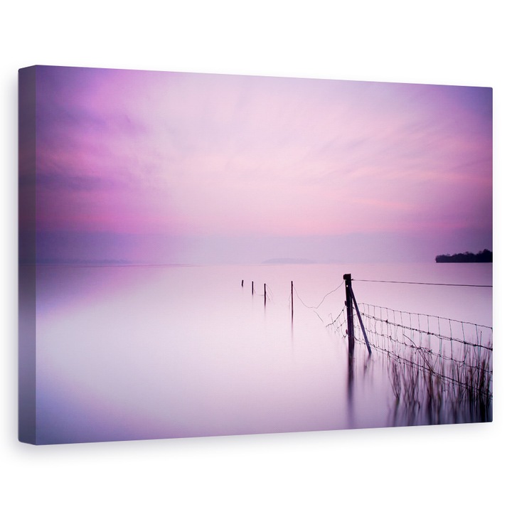 Tablou canvas - Roz Laptos, Lac, Roz, Culoare, Irlanda, Killarney, Ceata, 80 x 120 cm