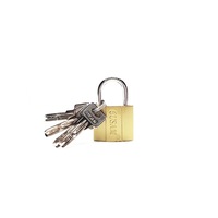 Set 6 bucati Lacat Top Security 32 mm