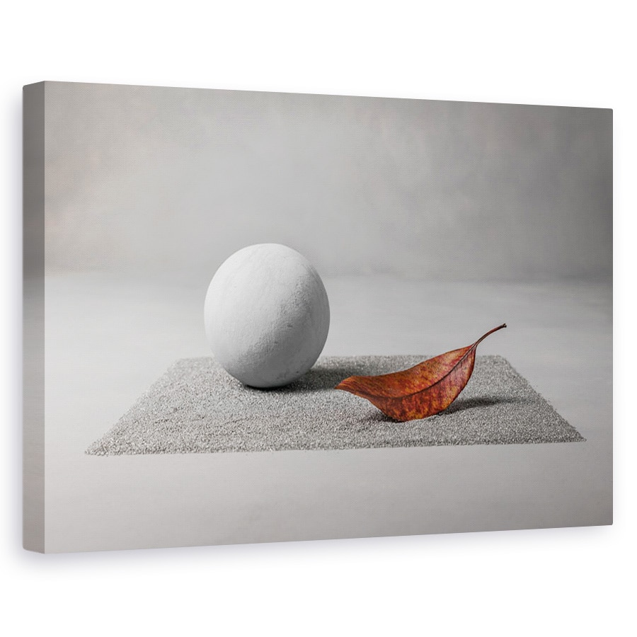 Tablou canvas - Aterizare Pe Luna, Gri, Frunza, Zen, Gradina Zen, Frunze, Toamna, 60 x 90 cm