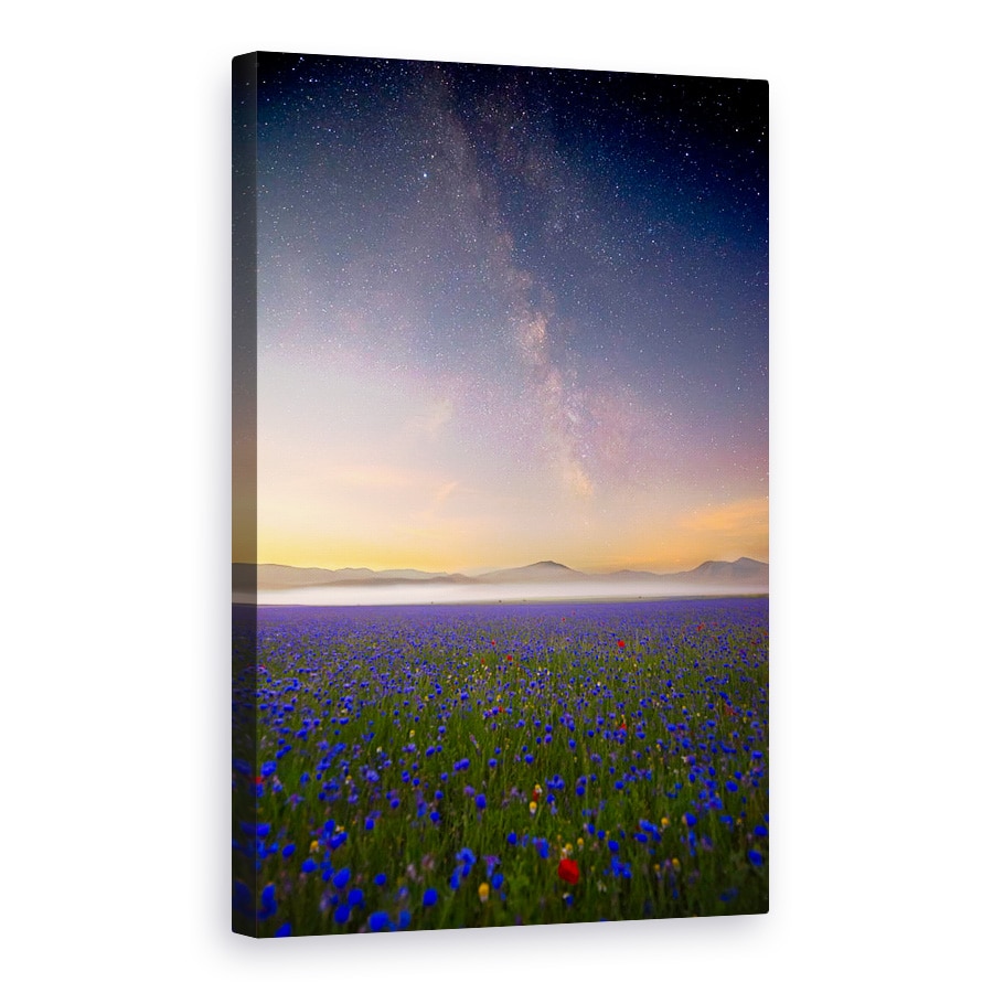 Tablou canvas - Flori de Noapte, Flori, Cer, Galaxie, Joaca, Calea Lactee, Apus, 80 x 120 cm