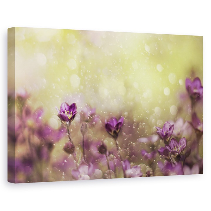 Tablou canvas - Vis Violet, Mov, Floare, Lunca, Gradina, Macro, 40 x 60 cm