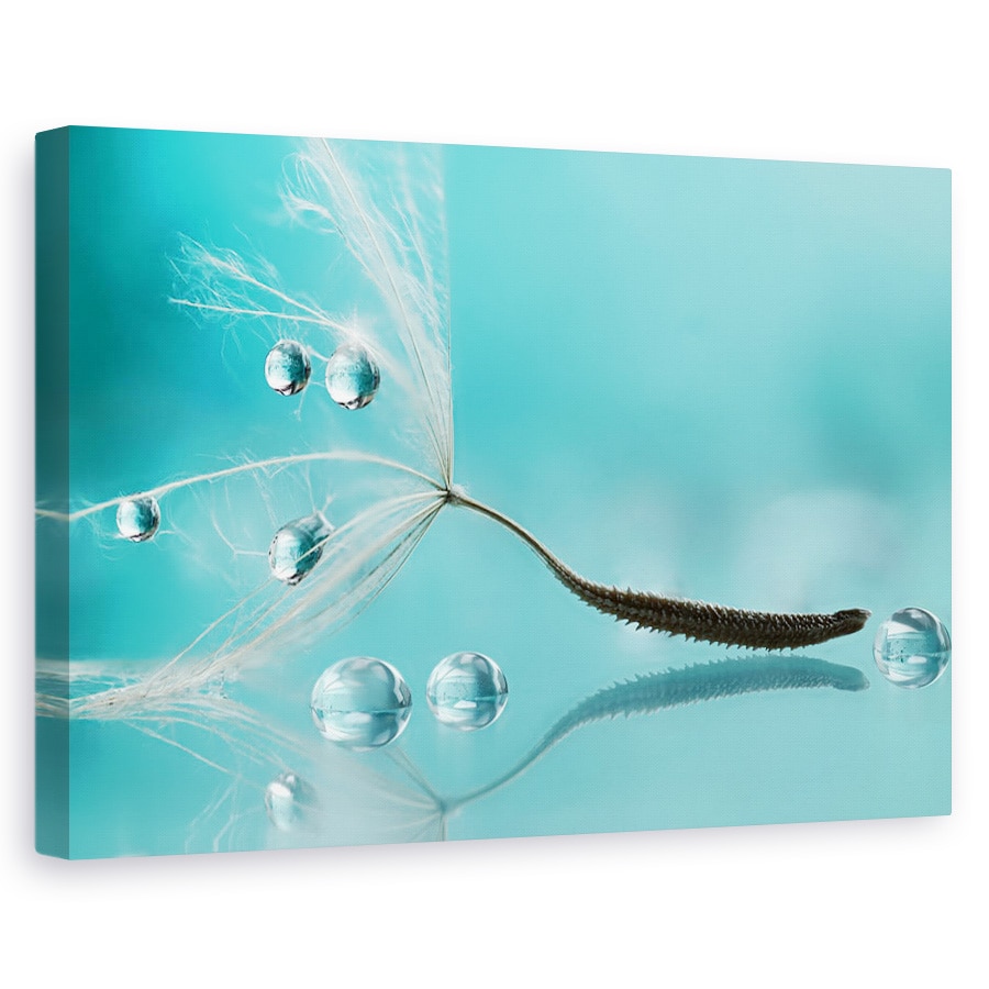 Tablou canvas - Apa, Papadie, Samanta, Reflectie, Cadere, 80 x 120 cm