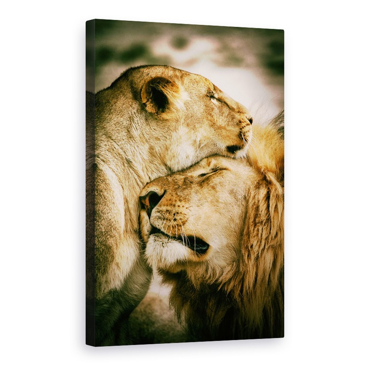 Tablou canvas - Ce Este Dragostea, Afectiune, Iubire, Imbratisare, Felina, Leu, 40 x 60 cm