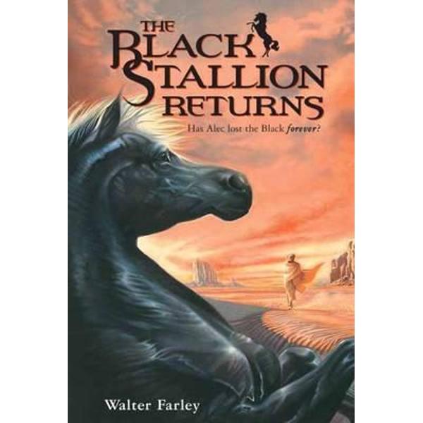 Black Stallion Returns