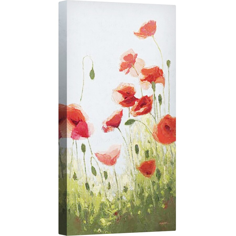 Tablou canvas - Maci de munte II, 50 x 100 cm