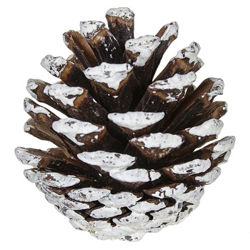 Set conuri brad, decorative de Craciun, South Perfect Decor, 20 buc Set conuri brad, decorative de Craciun, South Perfect Decor, 20 buc