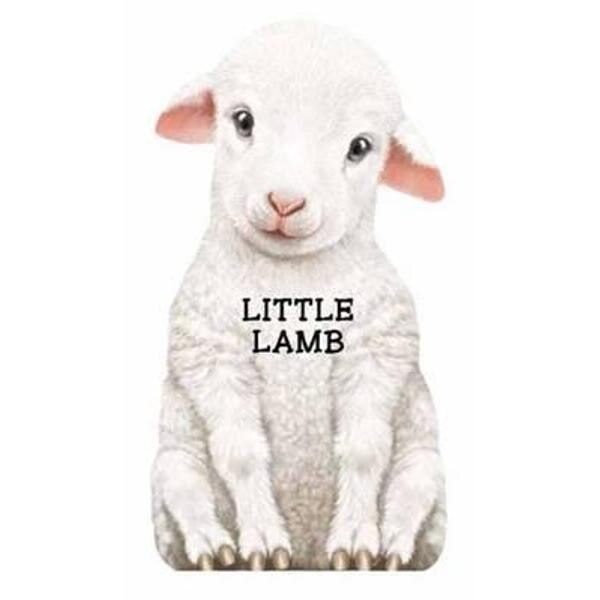 Little Lamb