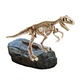 Joc I'm A Genius Science Predators