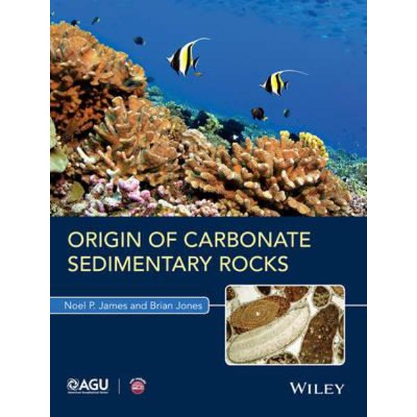 Origin of Carbonate Sedimentary Rocks