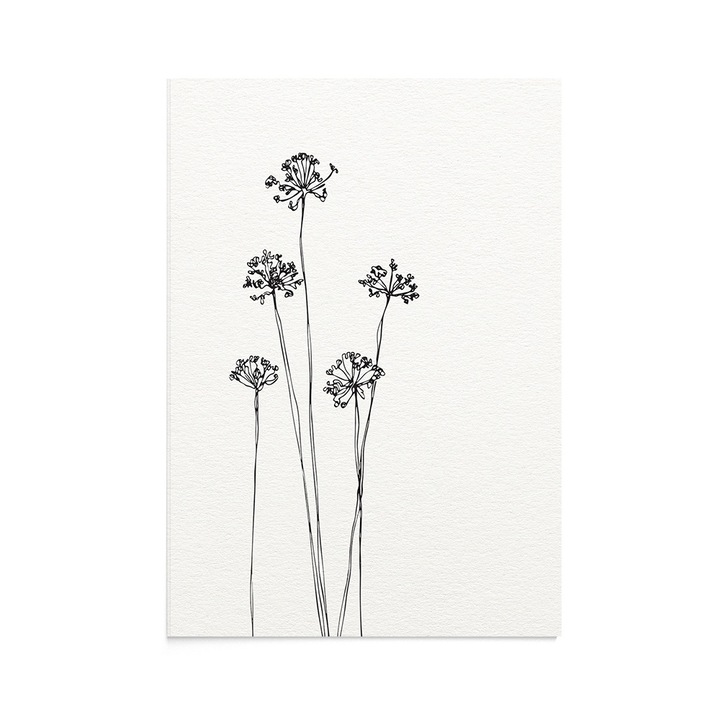 Felicitare Line Art Dandelions