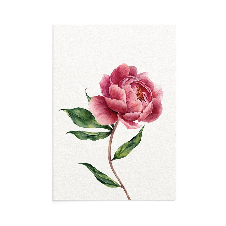 Felicitare Botanical Sweet Peony