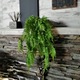 Plante verzi artificiale, Green Collection, B053, 80cm