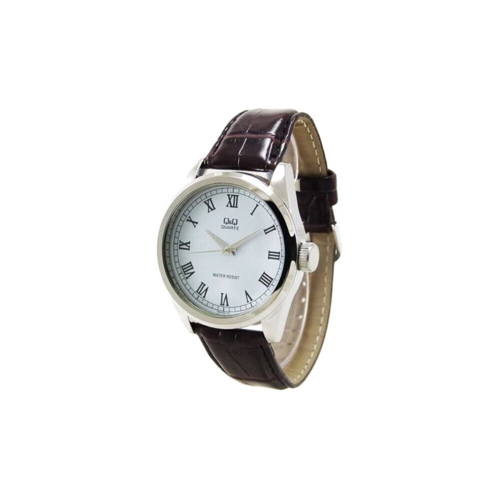 Ceas barbatesc Q&Q Q266J838Y