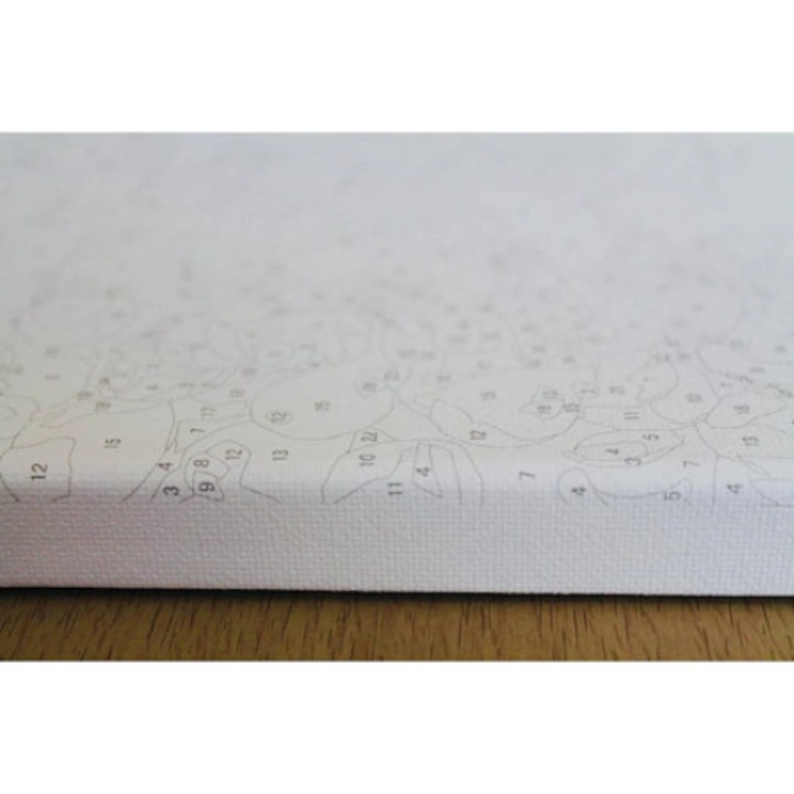 Set pictura dupa numere, Pisicute sub umbrela, Tablou 20 x 30 cm