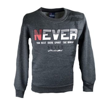 Bluza cu maneca lunga pentru baieti Happy House HB-2073-2, Gri Bluza cu maneca lunga pentru baieti Happy House HB-2073-2, Gri