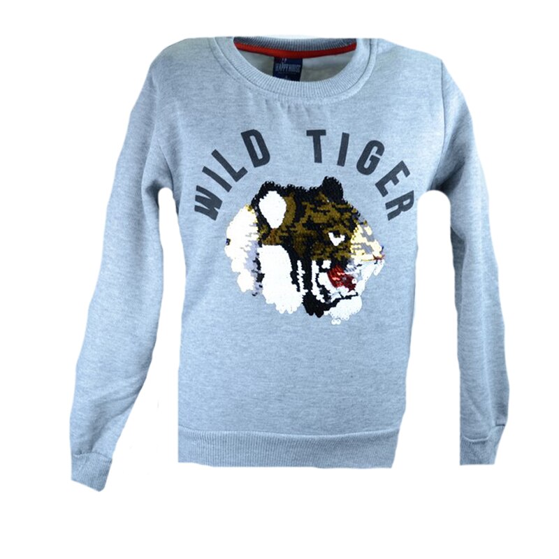Bluza cu maneca lunga pentru baieti Happy House HB-2346-4, Gri
