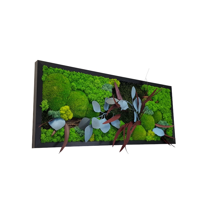 Tablou cu licheni, muschi si plante naturale stabilizate Jolie Arts, Model Ilona 30 x 70 cm, rama neagra