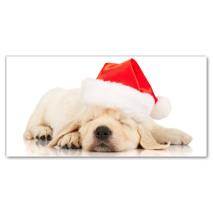 Pictura acrilica. decoratiuni de perete. Caciula de Craciun de iarna a catelului. 140x70 cm