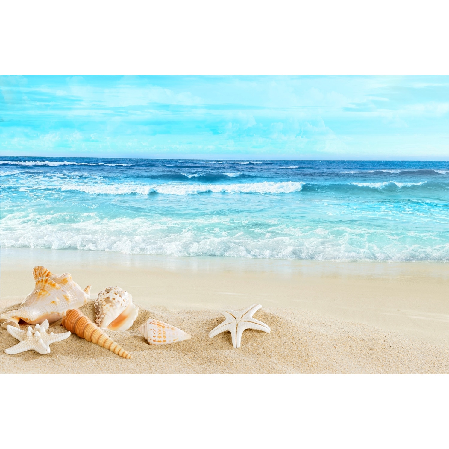 Sticker Plaja si Scoici - 150x70 cm