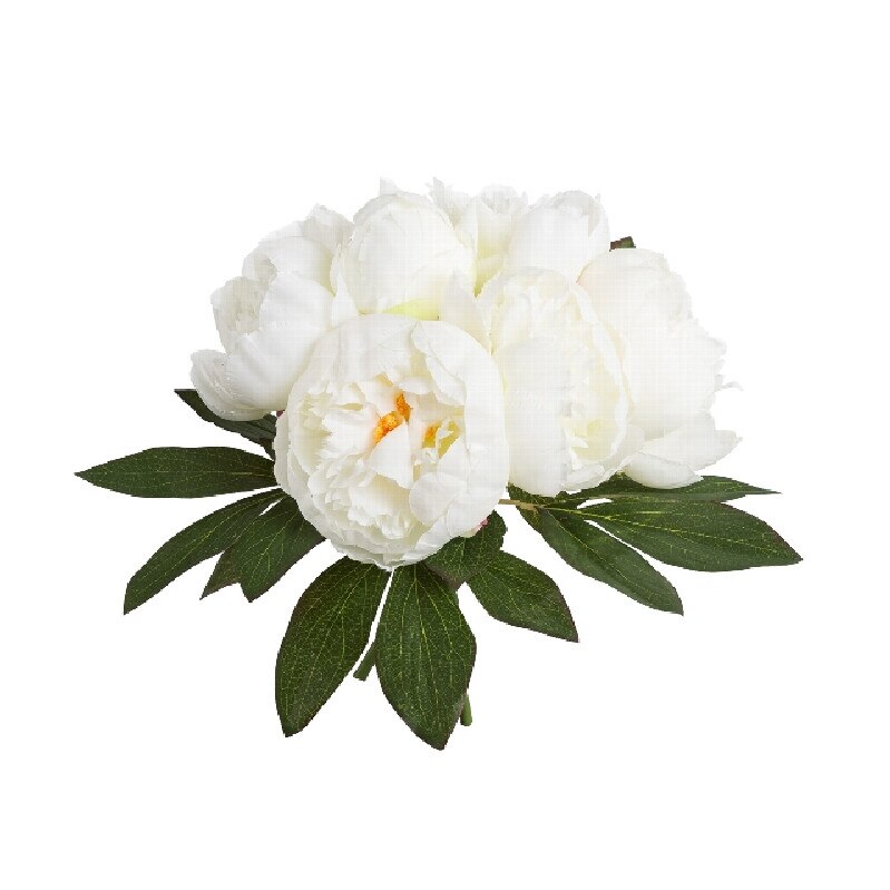 Buchet Bujori artificiali alb 31cm