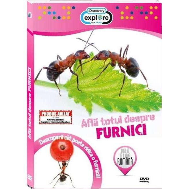 Afla totul despre furnici [DVD]