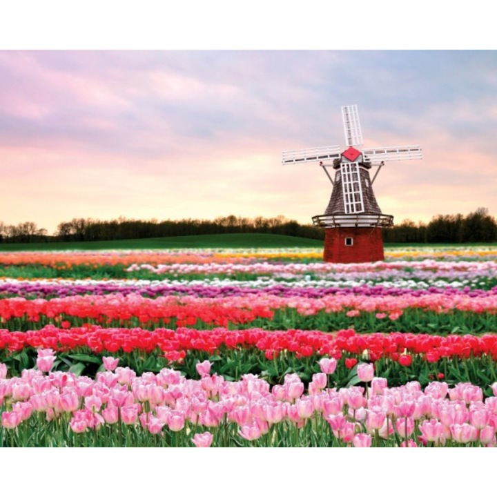 Tablou canvas, Lan de lalele, 50x70 cm