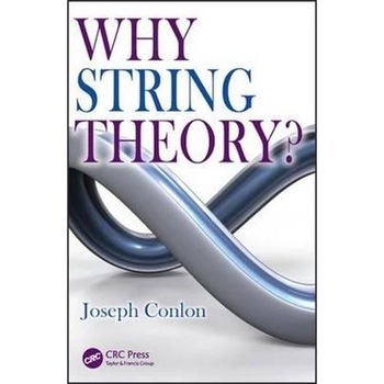 Why String Theory Why String Theory
