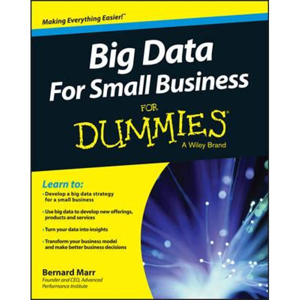 Big Data for Small Business For Dummies