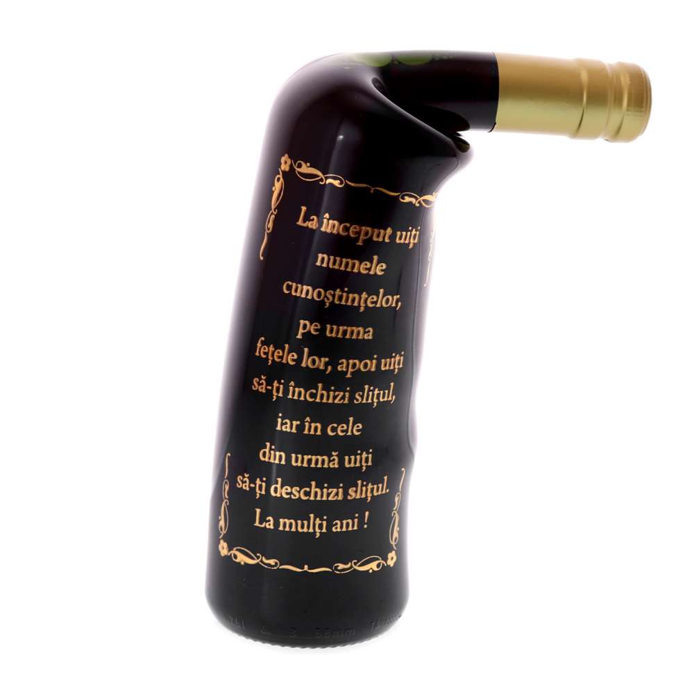 Vin Rosu Cabernet in Sticla Indoita Teoria Slitului 650 ml