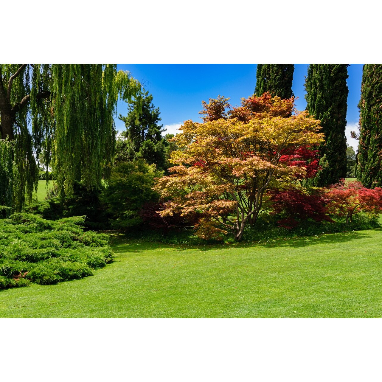 Fototapet Gradina in Culorile Toamnei - 255x180 cm