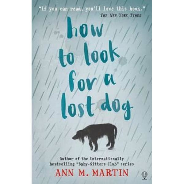 How to Look for a Lost Dog