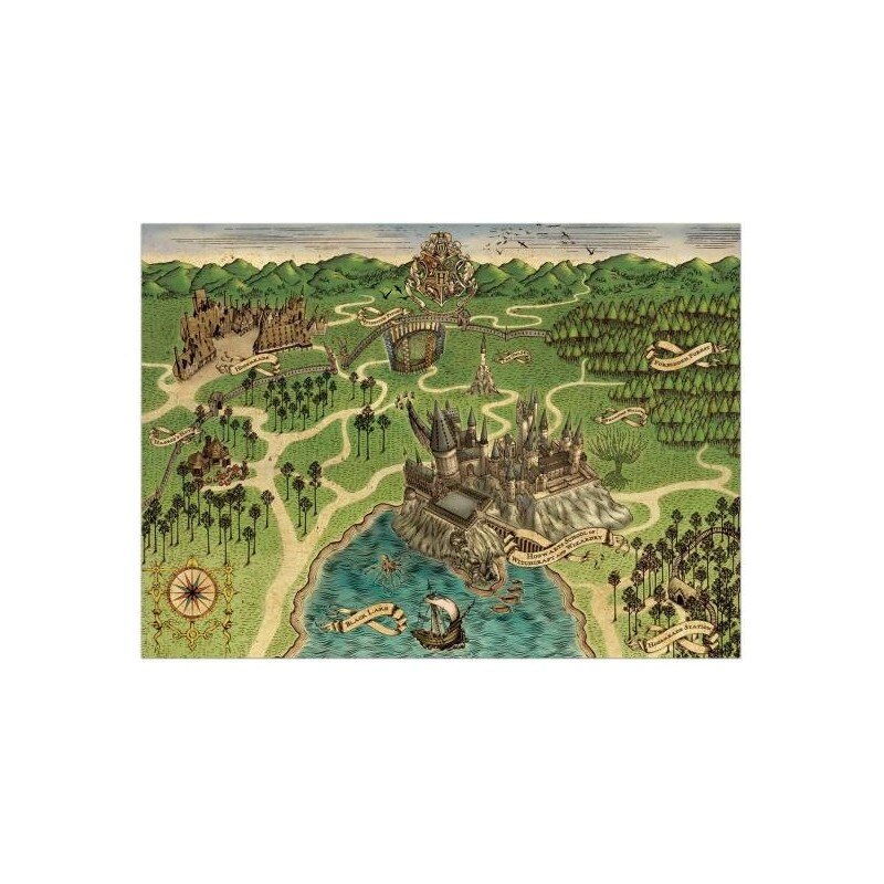 Poster Harry Potter Hogwarts Map , 50x69cm, Negru