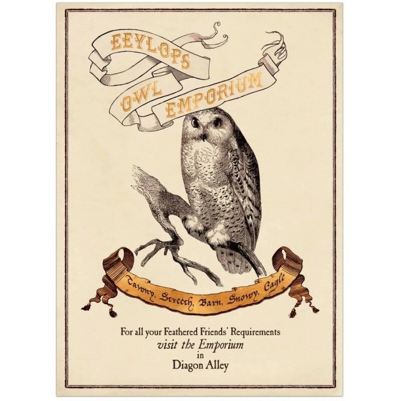 Poster Harry Potter Eeylops Owl Emporium , 50x69cm, Negru