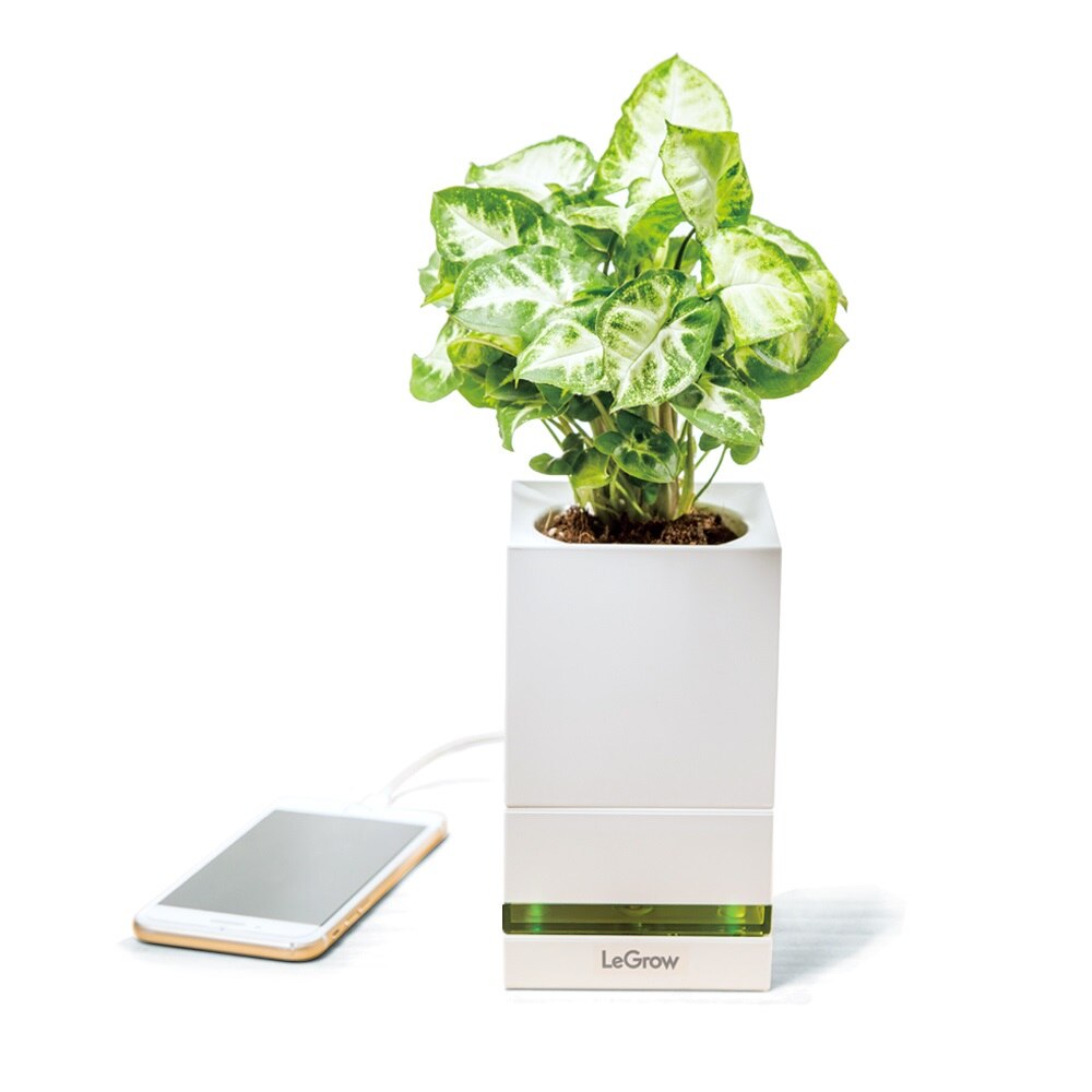 Gradina interioara inteligenta LeGrow TG-P1 EU Allocacoc DH0061