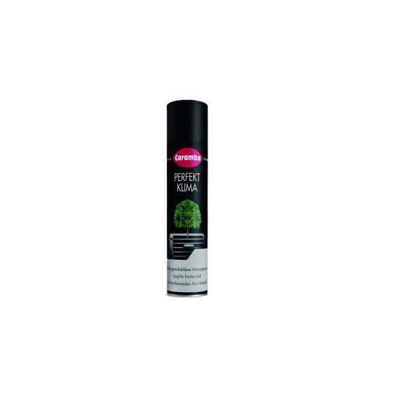 Spray aer conditionat 100ml