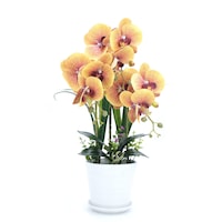 ghiveci cu flori orhidee artificiale decorative portocaliu 50 cm imagen 17_0_
0