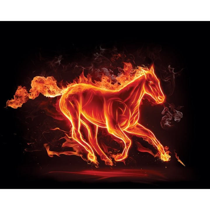 Tablou canvas, Abstract cal rosu, 50x70 cm