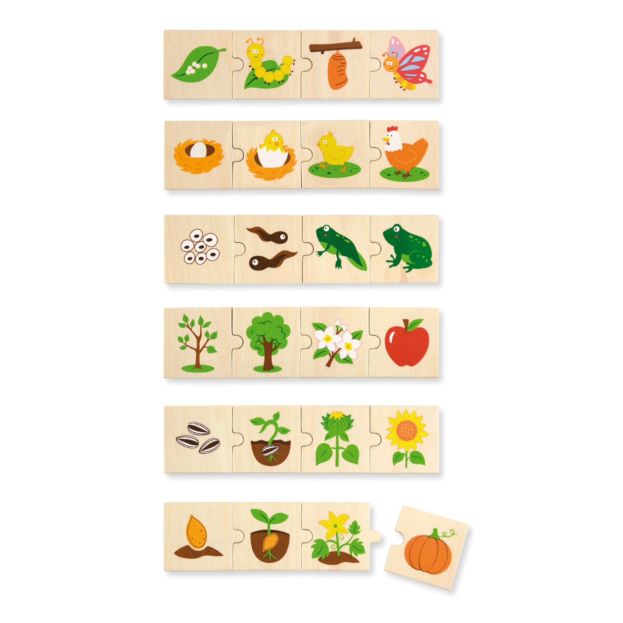 Puzzle sortator, Viga, 24 piese, Evolutie