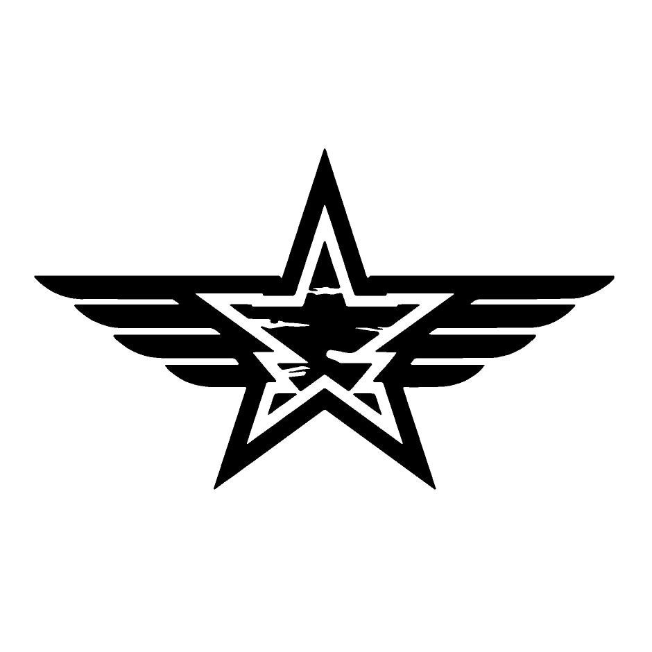 Sticker decorativ auto, star, 35x20cm