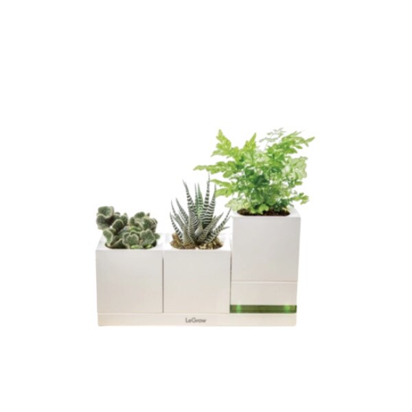 Gradina interioara inteligenta LeGrow TG-P3 EU Allocacoc DH0059