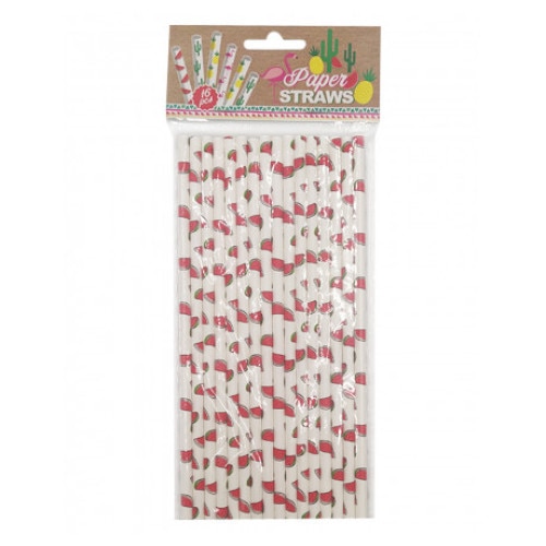 Set 16 bucati paie din hartie , design pepene, 20x0,5cm